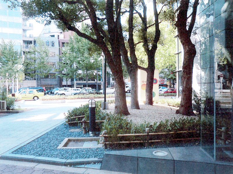 大阪市某御堂筋ビル 緑地帯植栽工事