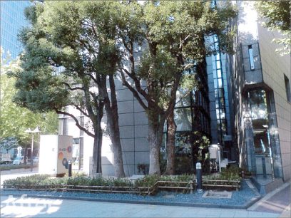 大阪市某御堂筋ビル 緑地帯植栽工事