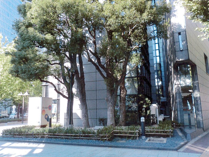 大阪市某御堂筋ビル 緑地帯植栽工事