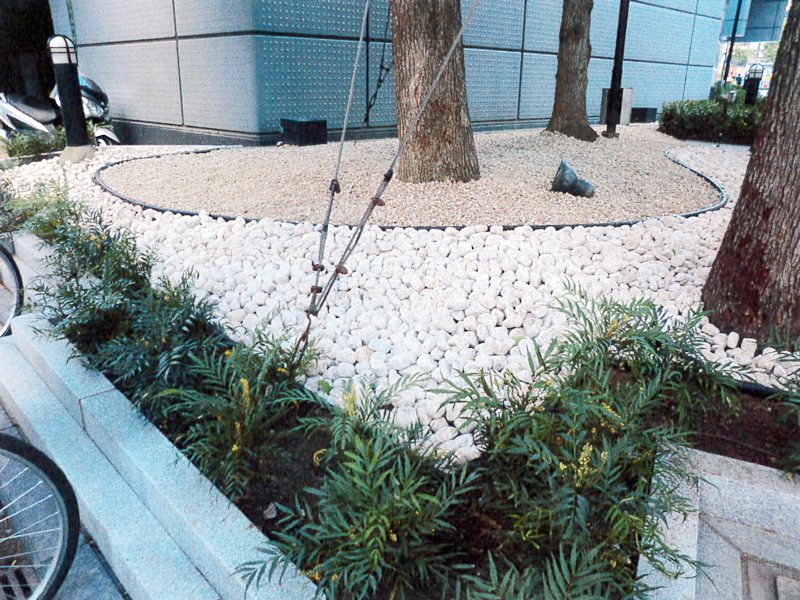 大阪市某御堂筋ビル 緑地帯植栽工事