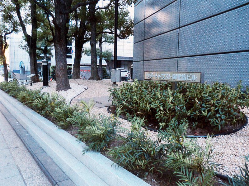 大阪市某御堂筋ビル 緑地帯植栽工事
