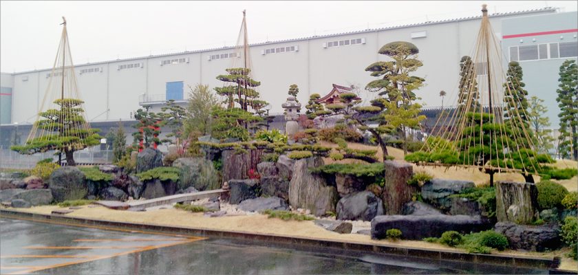 運送業書様 庭園植栽工事「松の雪吊り」の画像