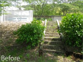 聖マリア女学院 散策路植栽工事