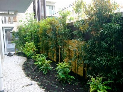 京都市下京区の介護施設の庭園植栽工事
