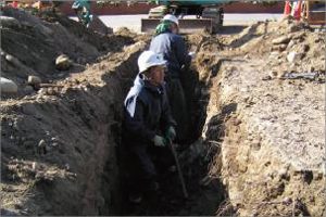 アベマキ保全工事