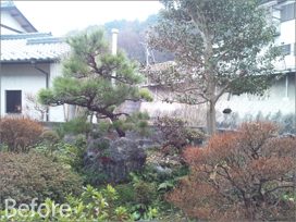 岐阜市内 W様のお庭を「リガーデン」