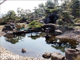 東海市 N様邸 池の植栽工事