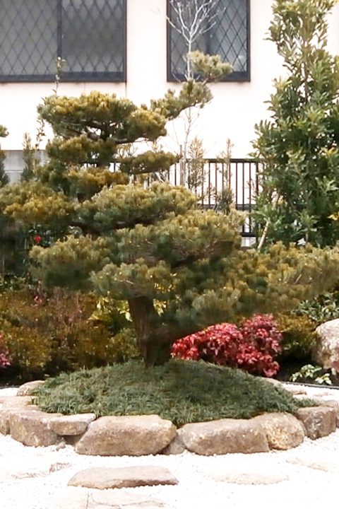 天白区 S様邸 庭園植栽工事