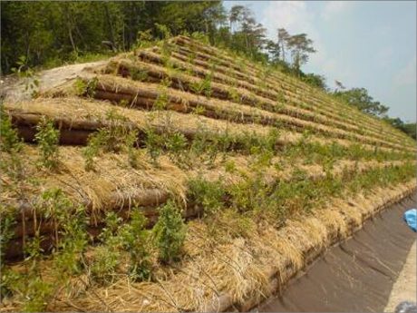 八草I・C北ランプ法面植栽工事の画像
