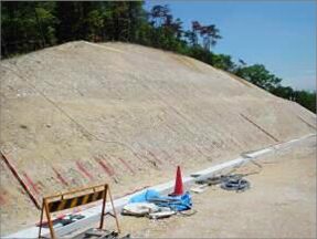 八草I・C北ランプ法面植栽工事