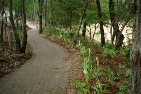 社会福祉法人 米山寮　植樹際（２）の画像