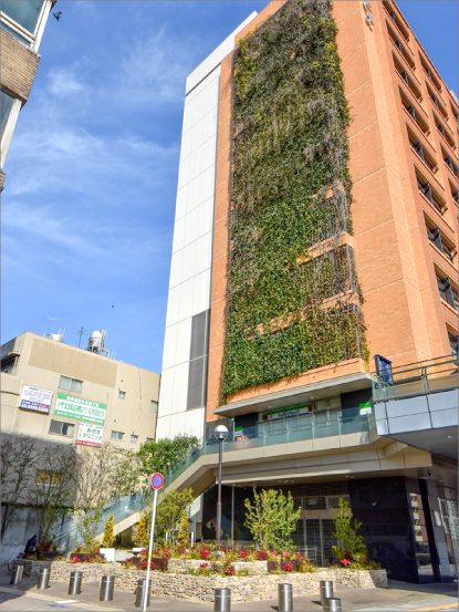 JR岐阜駅大岐阜ビル ポケットパークの植栽工事の画像