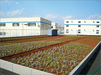 工場屋上緑化