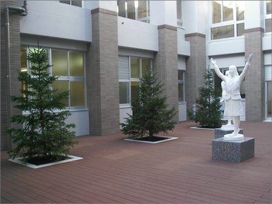 緑あふれる屋上で新しい校舎が輝いてみえます（２）