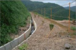 紀勢町土砂採取跡地ののり面植栽工事