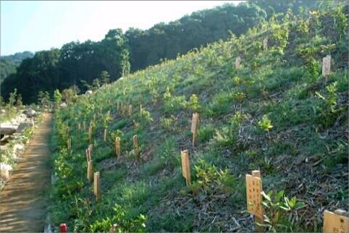 社会福祉法人 米山寮　植樹際（３）