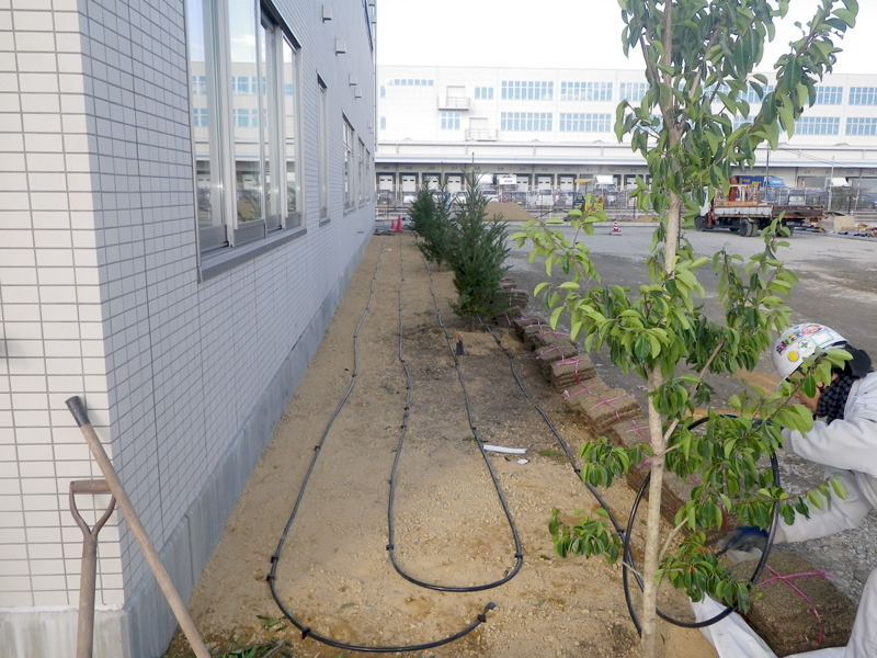 メディック3F屋上に日本庭園ができました