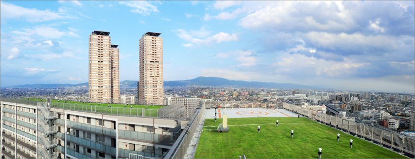 大阪府守口市の高層マンション屋上に芝生のカーペットの画像