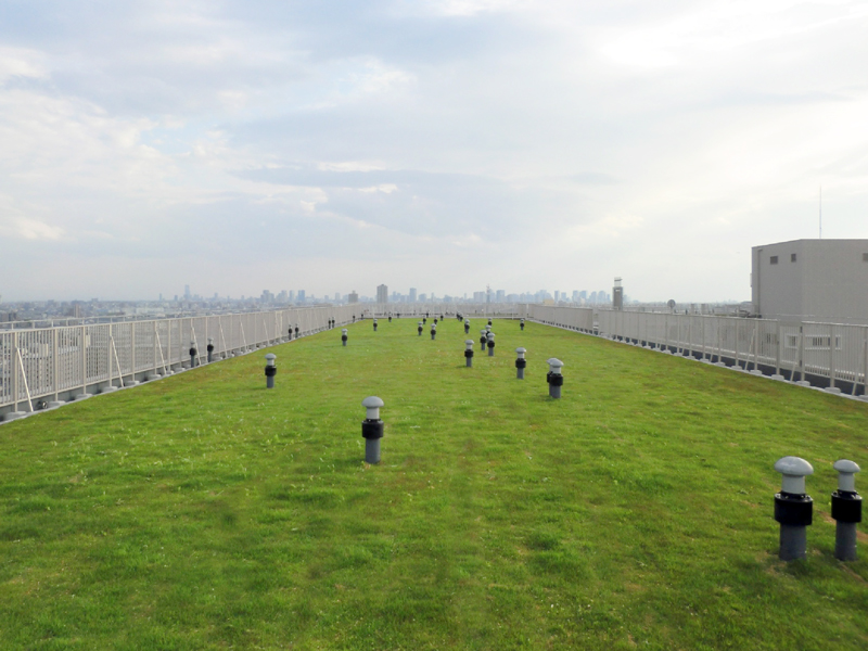 大阪府守口市の高層マンション屋上に芝生のカーペット