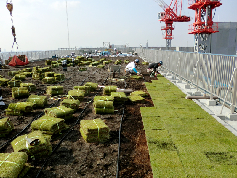 大阪府守口市の高層マンション屋上に芝生のカーペット