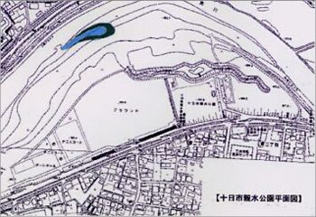 馬洗川人工ワンド水辺植栽実験（１）の画像