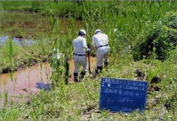 馬洗川人工ワンド水辺植栽実験（１）
