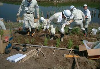 馬洗川人工ワンド水辺植栽実験（１）