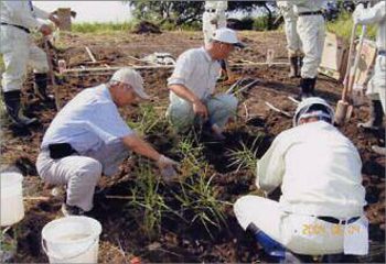 馬洗川人工ワンド水辺植栽実験（１）