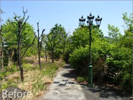 ぎふ清流文化プラザ屋上庭園 植栽工事