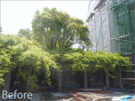ぎふ清流文化プラザ屋上庭園 植栽工事