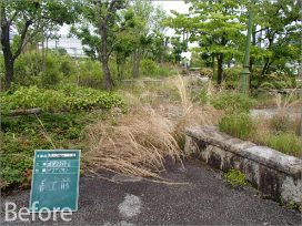 ぎふ清流文化プラザ屋上庭園 植栽工事