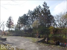 ぎふ清流文化プラザ屋上庭園 植栽工事