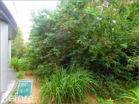 ぎふ清流文化プラザ屋上庭園 植栽工事
