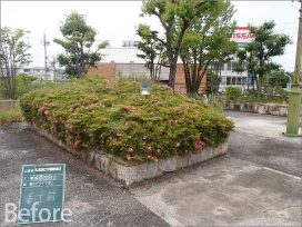 ぎふ清流文化プラザ屋上庭園 植栽工事