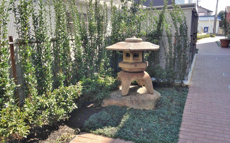 地域に開放された緑豊かな病院