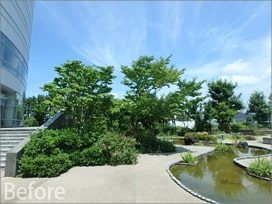 清流デッキ開通式 29年度庭園等植栽工事