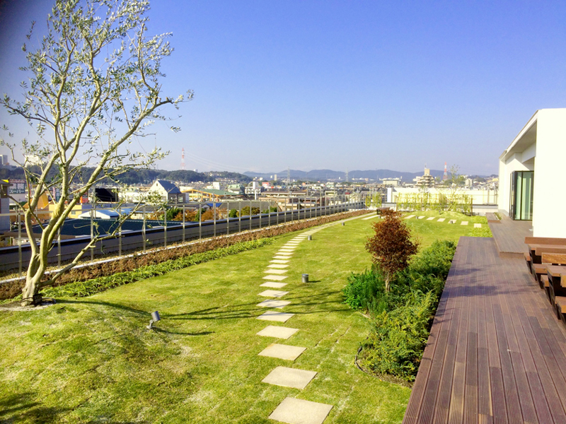 春日井市で新社屋の屋上緑化と外構植栽工事