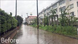 済美高等学校100周年記念事業庭園植栽工事