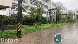 済美高等学校100周年記念事業庭園植栽工事