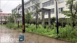 済美高等学校100周年記念事業庭園植栽工事