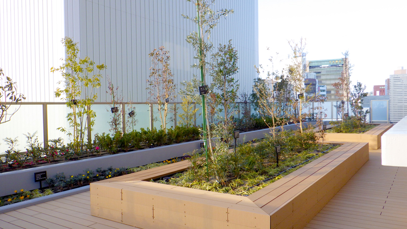 JR岐阜駅東複合施設の屋上緑化と外構植栽工事
