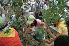 ダイヤモンドシティー木曽川植樹祭