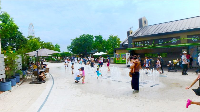 オアシスパーク世界淡水魚園 水景設備工事の画像