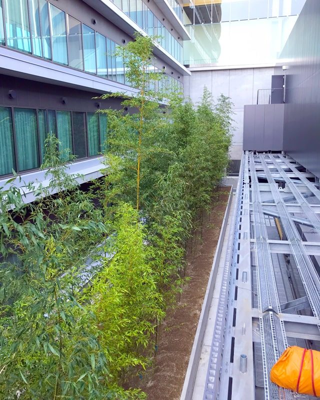 熊本交通センター跡地に大型商業施設・サクラマチクマモト