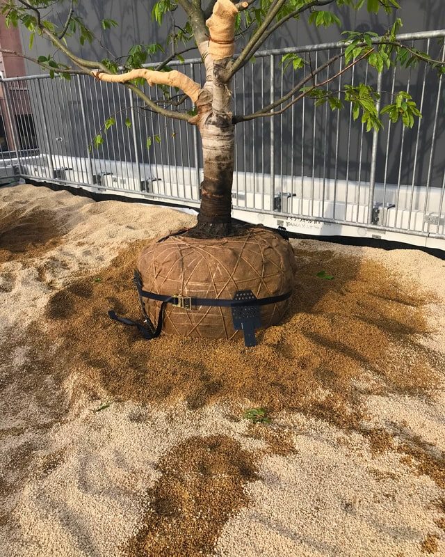 熊本交通センター跡地に大型商業施設・サクラマチクマモト