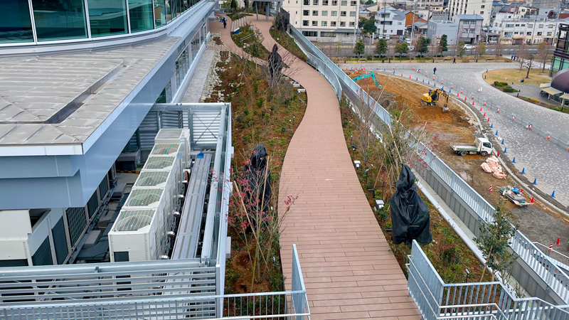 岐阜市新庁舎「みどりの丘」屋上緑化工事