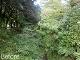 歴史ある「岐阜公園」の再整備