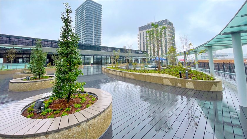 多治見駅南地区再開発 屋上緑化と植栽工事
