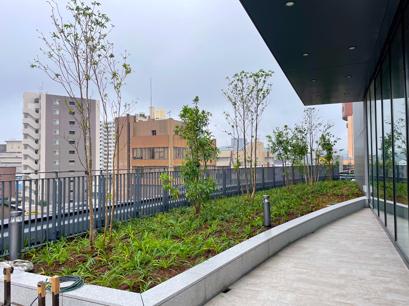 多治見駅南地区再開発 屋上緑化と植栽工事