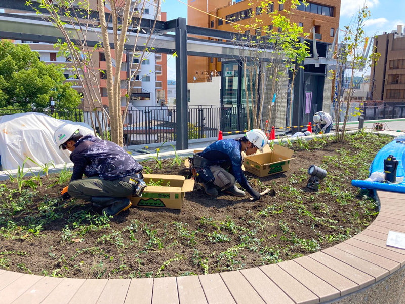 多治見駅南地区再開発 屋上緑化と植栽工事